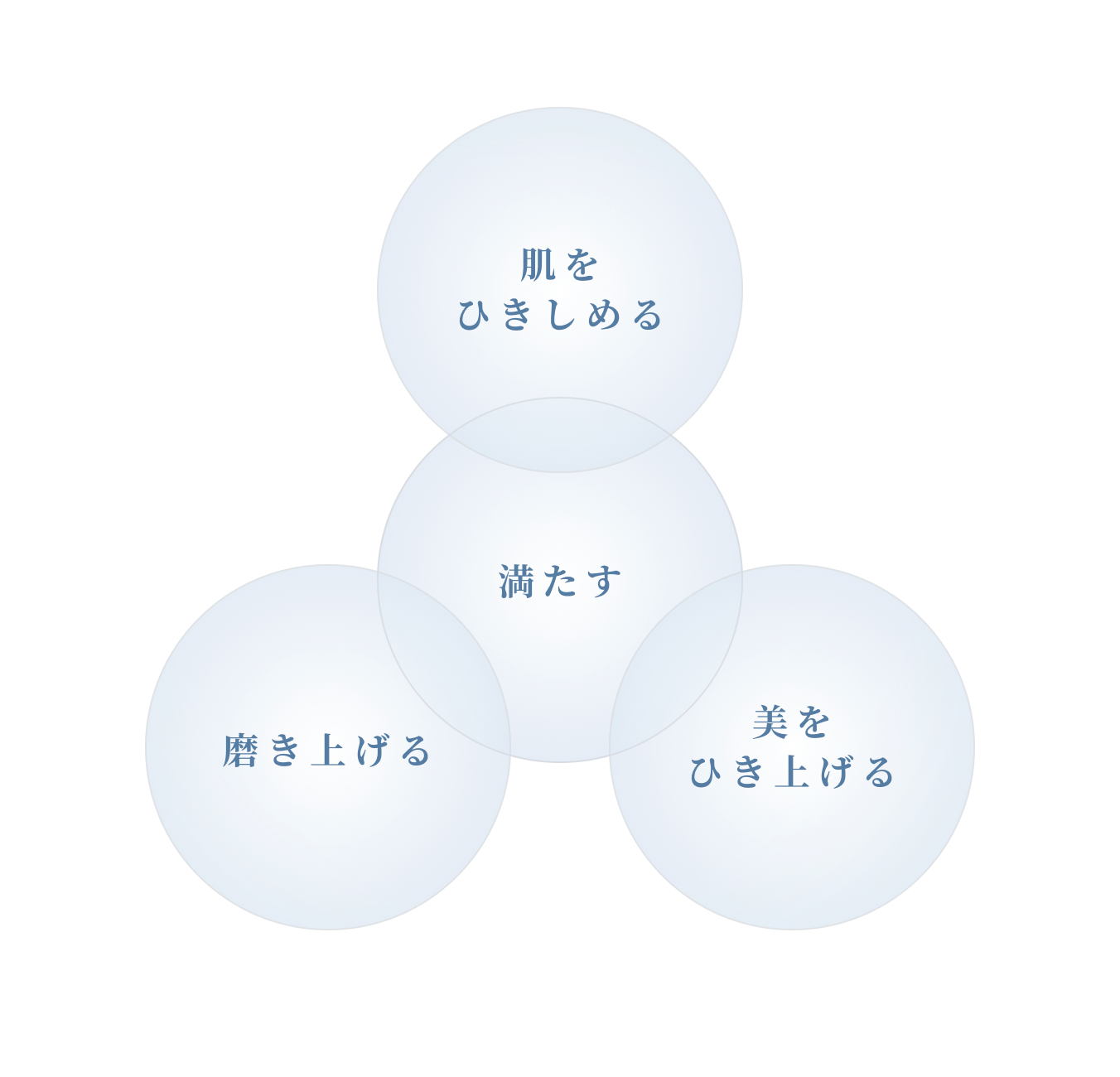 肌をひきしめる　満たす　磨き上げる　美を引き上げる